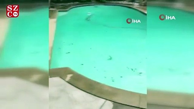 ABD’de 6.4 büyüklüğünde deprem