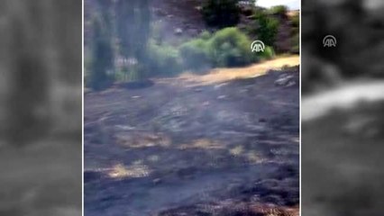 Diyarbakır'da kırsal alanda yangın