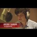 Aneurin Barnard Does Voice Work in 'Sherwood'