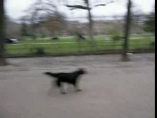 Lafesse à n'importe qui in Paris