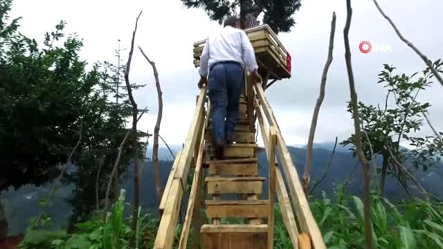 Rizeli'nin seyir terası böyle olur...Çocukken diktiği çam ağacına seyir terası kurdu