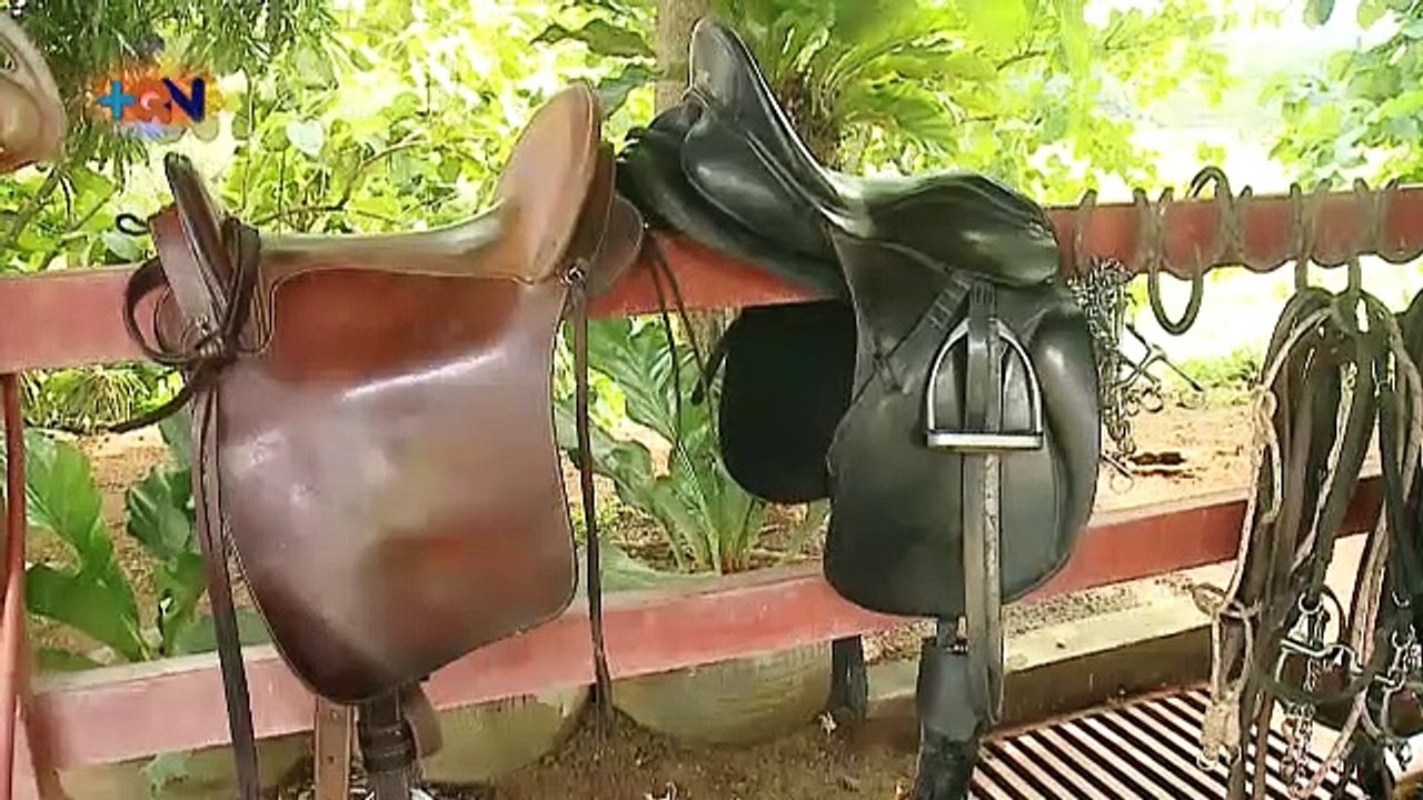 Milton Arguedas criador de caballos en Garabito