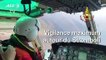 Italie: le Stromboli surveillé après son éruption spectaculaire