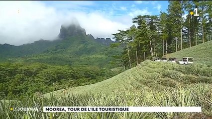 Tere na tai e na uta à Moorea