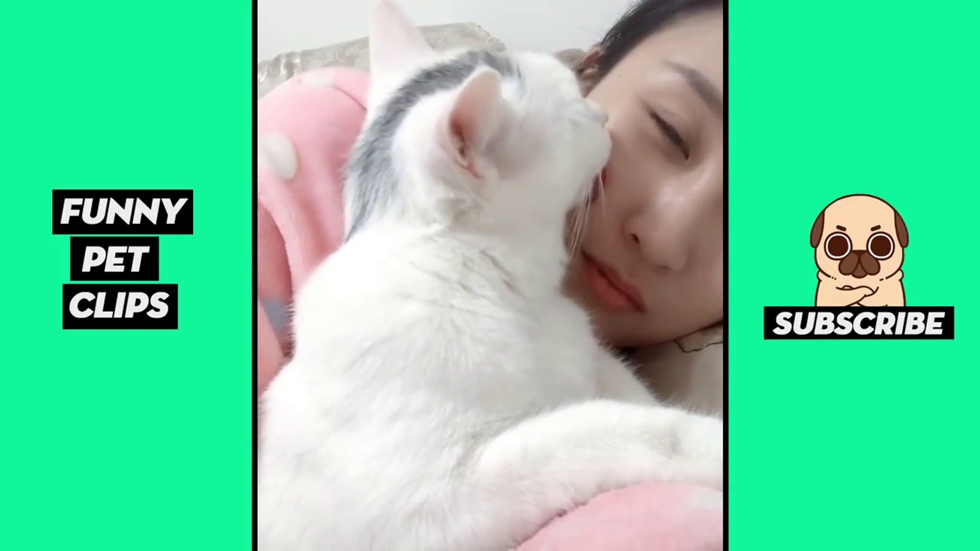 Tik Tok Pets  Funny Cute Animals #36