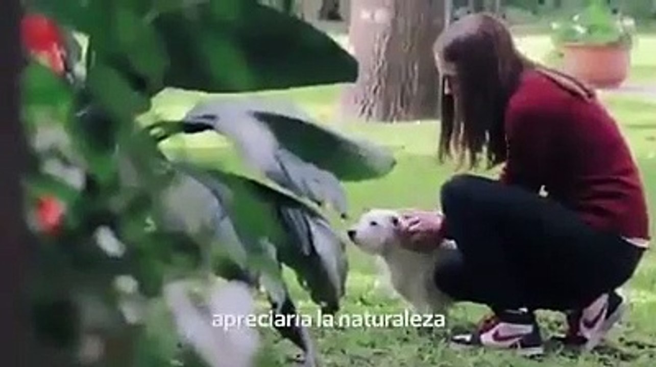 La Gente Muere, No somos imprensidible en el trabjao