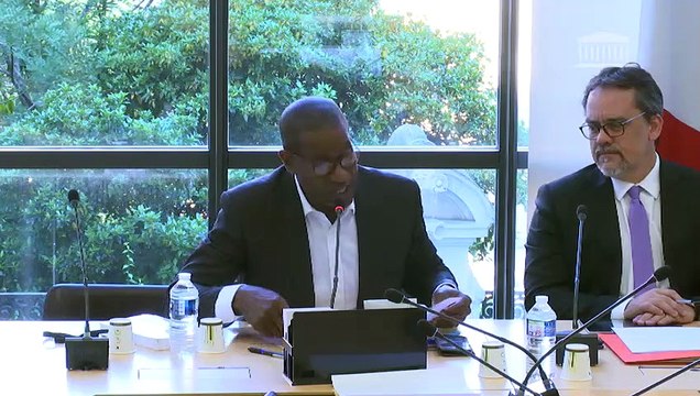 Délégation aux Outre-mer : Filière agricole ultra-marine ; M. Julien Denormandie, ministre auprès de la ministre de la Cohésion des territoires ; Production audiovisuelle dans les outre-mer - Jeudi 4 juillet 2019