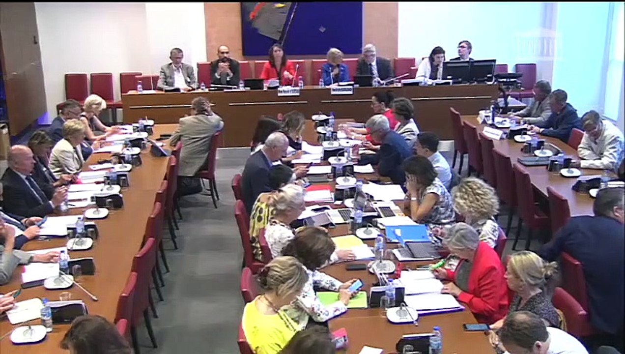 Commission des affaires sociales : Mme Pascale d’Artois, dg de l’Agence nationale pour la formation professionnelle des adultes (AFPA) - Mercredi 3 juillet 2019