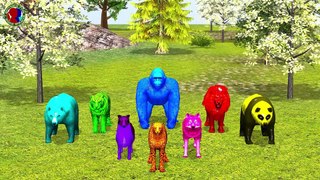 Learn Colors With Animals For Childrens || Animals Names And Sounds || gorilla lion tiger wolf bear panda