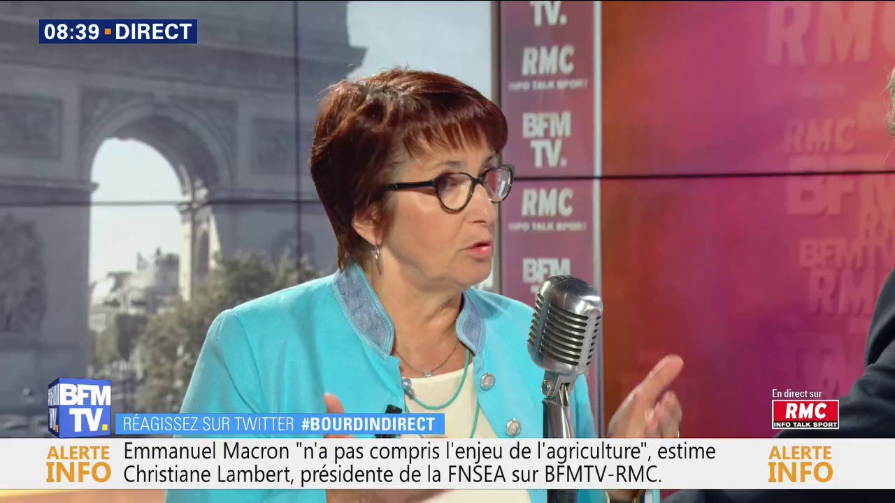 Christiane Lambert (FNSEA): "80% des viandes dans les cantines sont des viandes importées"