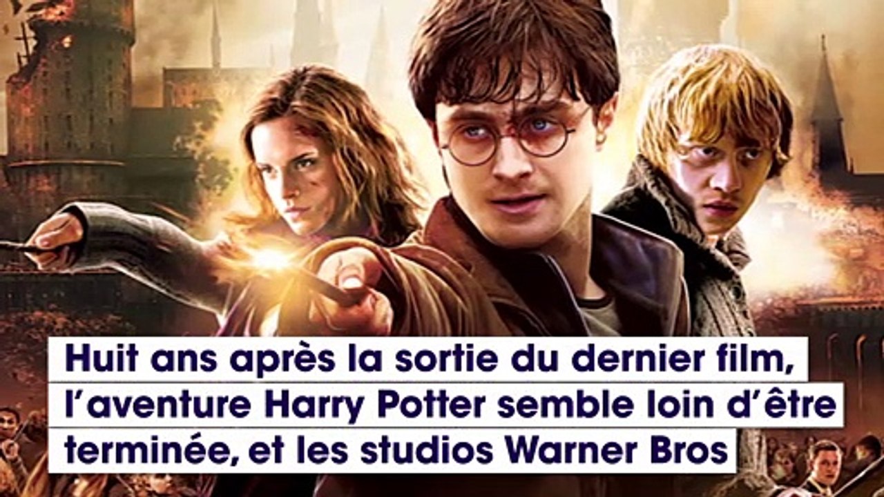 Une série tirée de l'univers Harry Potter est en préparation