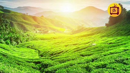 காதல் ஜோடி சில்மிஷம்.. தர்ம அடி கொடுத்த மக்கள்..!