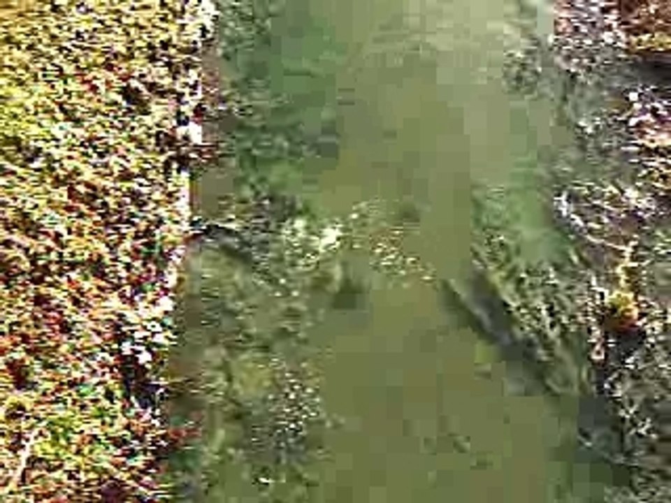 petard dans bouteille