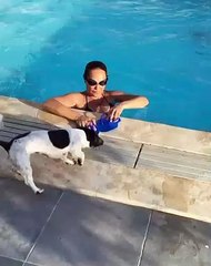 Hülya Avşar'ın Havuz Keyfine Beğeni Yağmuru