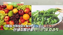 제철 맞은 살구, 키위 → 장내 유익균 활동에 도움!