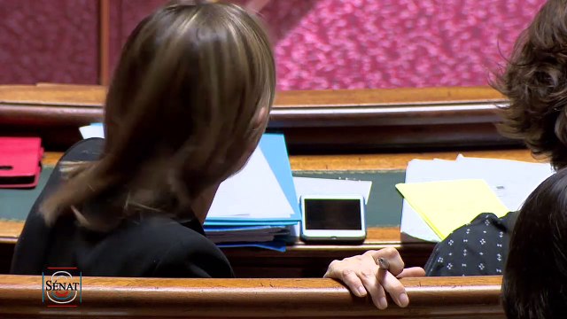 QAG - Marie-Thérèse BRUGUIÈRE Je crois qu'il est temps que l'on s'occupe des agriculteurs et des viticulteurs !