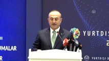 Çavuşoğlu: 