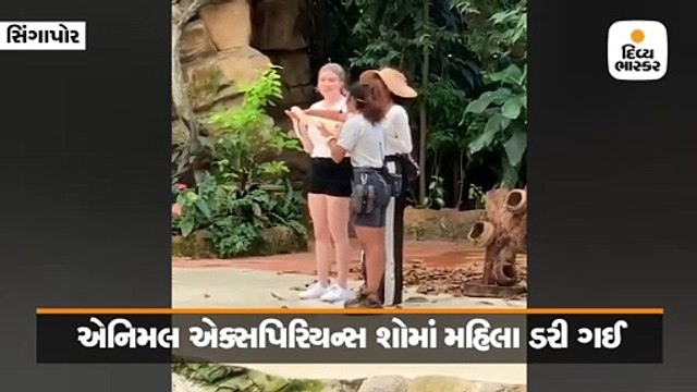 સાપને પકડતાં ડરતી મહિલા તેની પાછળ અજગરને જોઈને ભાગી