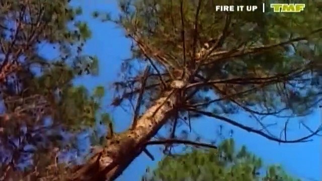 Dance 2 Trance - Power Of American Natives 98 (16 9) HQ