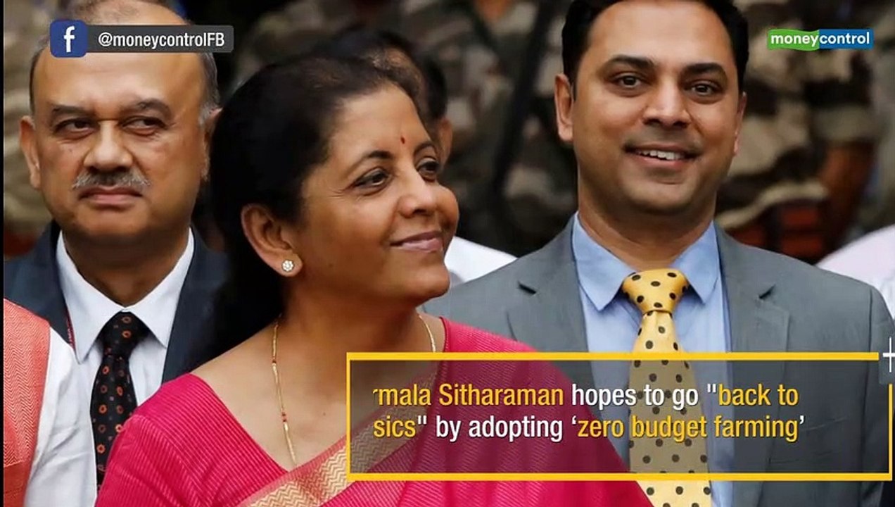 Budget 2019 | 10,000 new farmer producer organisations to be set up, says FM Nirmala Sitharaman