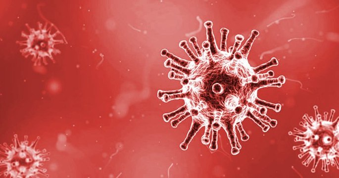 Des chercheurs ont réussi à éliminer le virus du Sida de l'organisme de souris, une première prometteuse