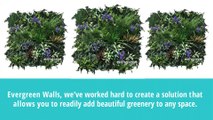 Attractive Green Wall Panels & Artificial Living Wall