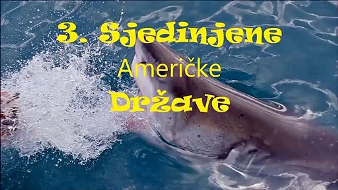 Zemlje Gde Su Ajkule Ubile Najviše Ljudi