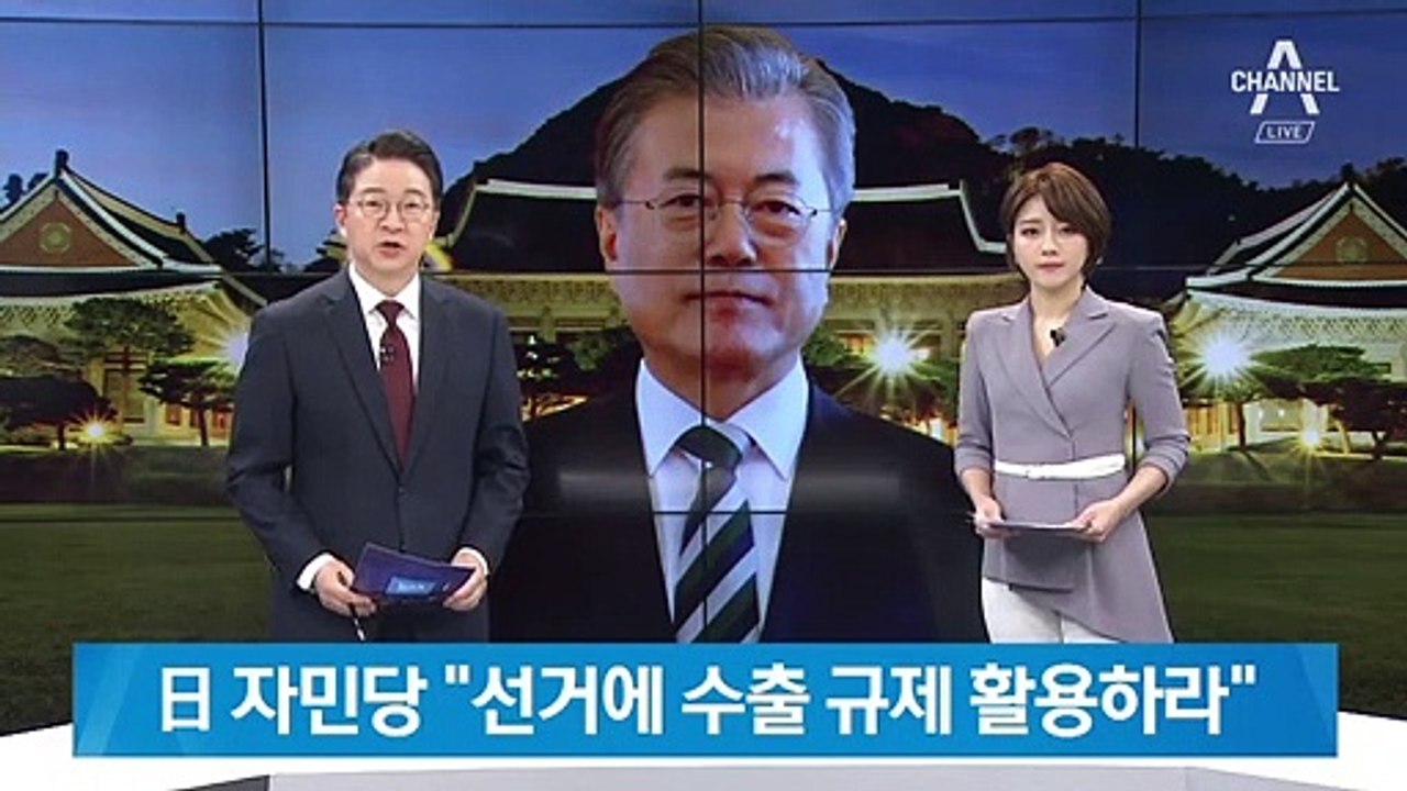 일본 자민당 “참의원 선거에 수출 규제 활용하라” 조언