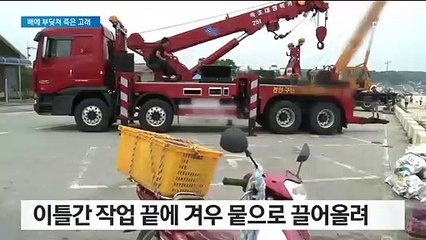 또 사람 때문에…14m 향고래 사체 곳곳엔 상처 투성이