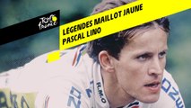 Légendes du Maillot Jaune - Pascal Lino