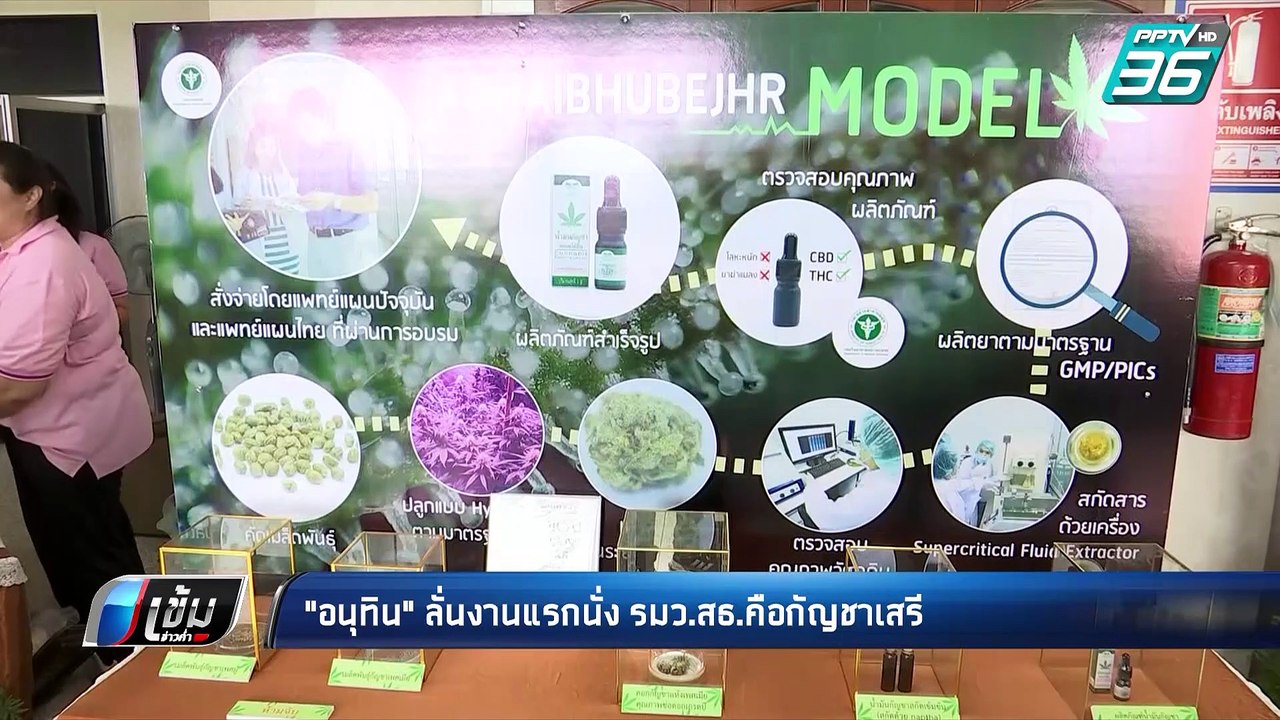 "อนุทิน"ลั่นงานแรกนั่ง รมว.สธ.คือกัญชาเสรี | เข้มข่าวค่ำ