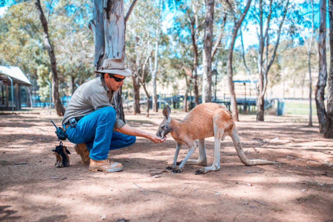 Australien: Work & Travel