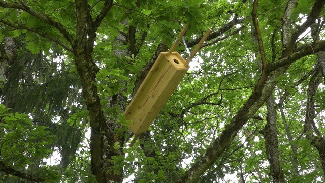 Programme Golf pour la Biodiversité : à Esery, l'entretien préserve les espèces