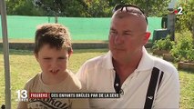 Charente-Maritime : des enfants brûlés par la sève de figuiers
