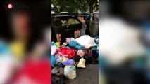 Roma, emergenza rifiuti: arrivano i cinghiali in città | Notizie.it
