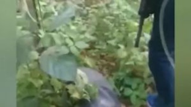 BNN Ungkap Penyelundupan 81 Kg Sabu Jaringan Malaysia