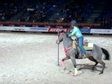 CHEVAL PASSION POLE BENDING