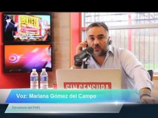 Senadora Mariana Gómez del Campo Gurza del PAN en Sin Censura