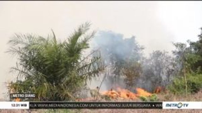 50 Hektare Lahan Gambut di Rokan Hilir Terbakar