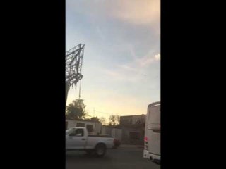 La madre naturaleza y sus milagros