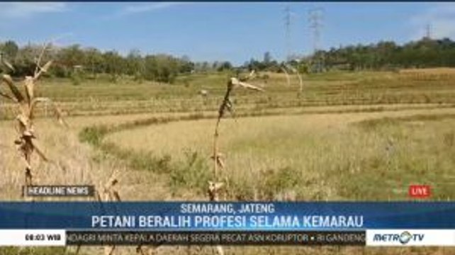 31 Kabupaten Kota di Jawa Tengah Terdampak Kekeringan