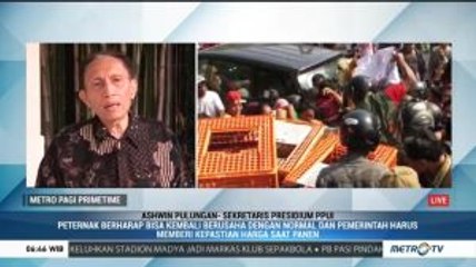 Harga Ayam Anjlok karena Ulah Kartel? (2)