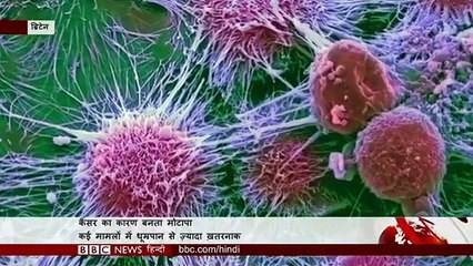 Smoking से ज़्यादा क्या Obesity से हो सकता है Cancer का ख़तरा? (BBC Hindi)