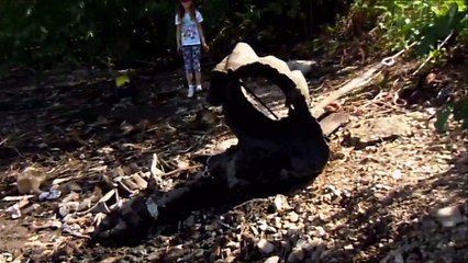 تمثال لجوزيف ستالين يقسم بلدة روسية نائية