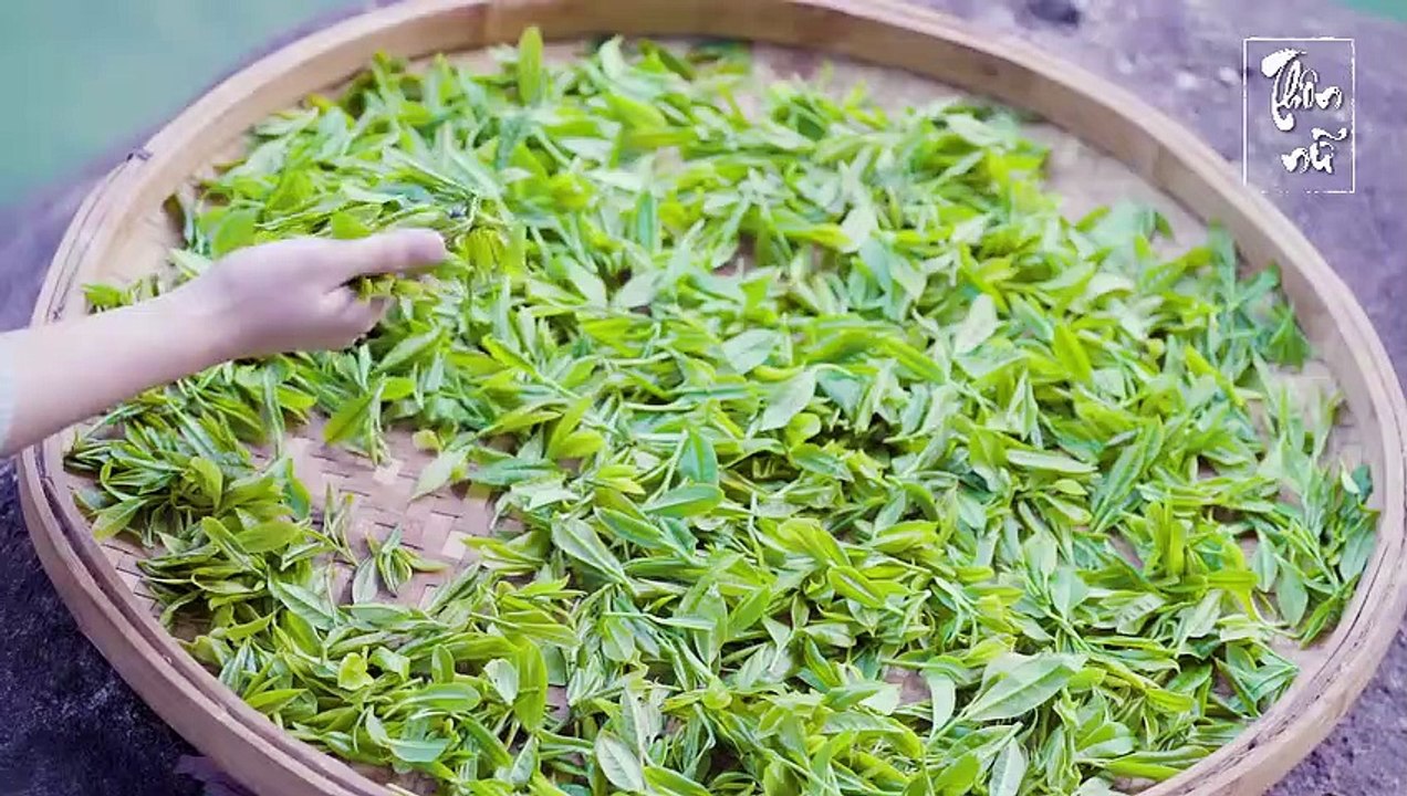 Trưởng quầy Lý