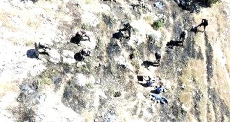 8 askerimizi şehit eden 2'si yabancı uyruklu 4 terörist tutuklandı