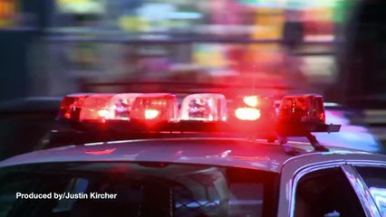 Reports of Zebra Bites Becomes Unexpected Case for Tennessee Police