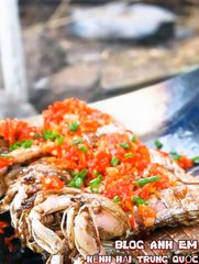 1001 món cách chế biến món ăn nơi rừng  hoang p2