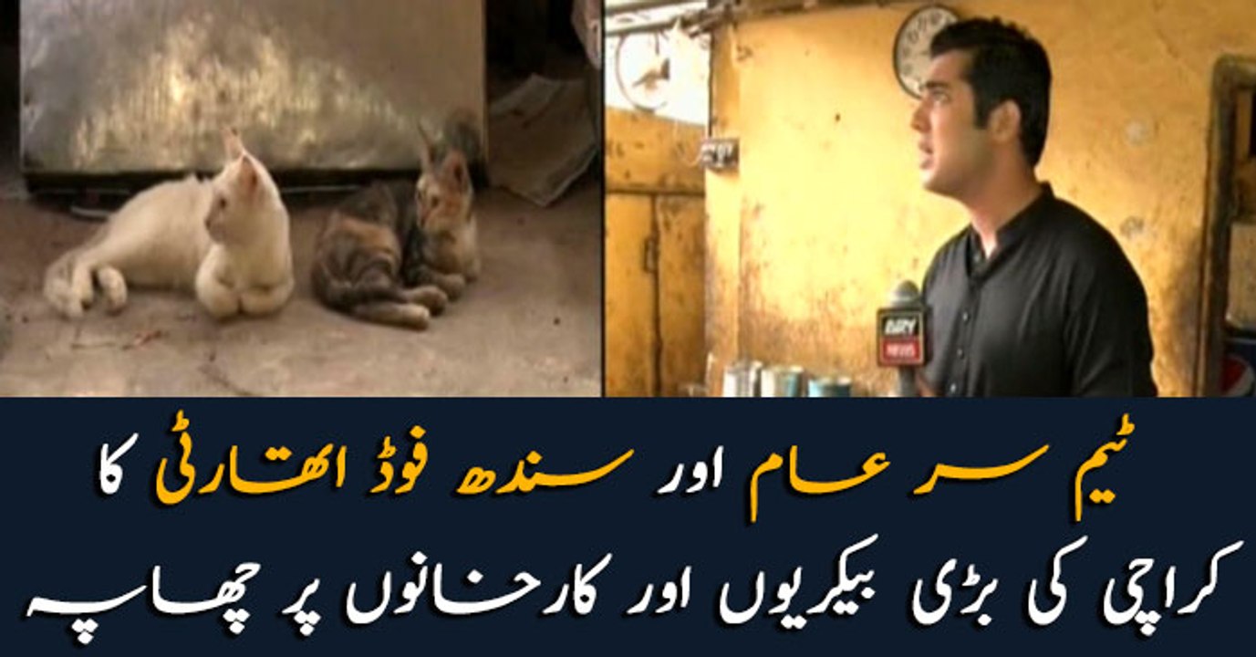 Team Sareaam and SFA raids well-known bakeries in Karachi