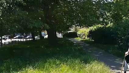 GOODLINES: 6th July 2019